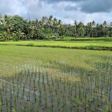 New 4 Bedroom Villa Surrounded By Jungle And Ricefields Убуд Экстерьер фото