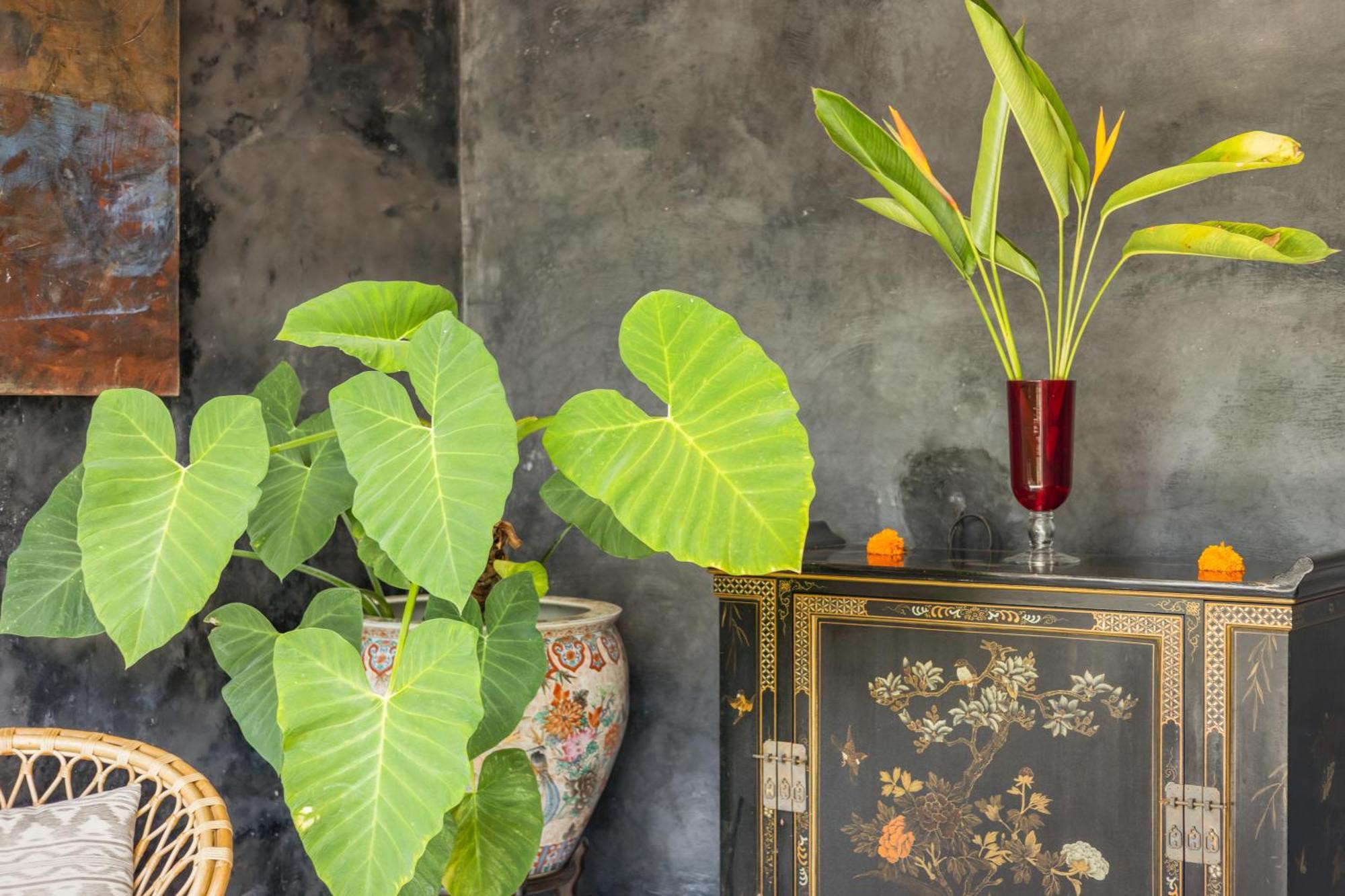 New 4 Bedroom Villa Surrounded By Jungle And Ricefields Убуд Экстерьер фото